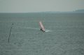 .Windsurfing photo TODO.