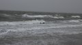 Getuige geweest van het vijrlaten van: Sem en Harley door A Seal bij standtent het Gorsje.