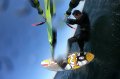 Mooie photo genomen met de GoPro op mijn Clew-View mount: Springen met de JP FSW 102.