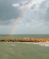 Lekker spelen in de golven onder de regenboog<br />